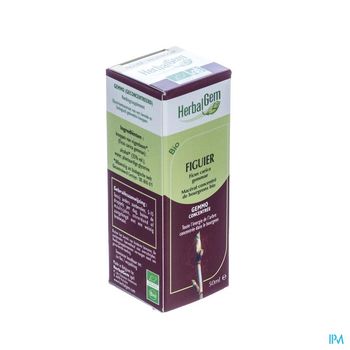 herbalgem-figuier-macerat-concentre-de-bourgeons-bio-50-ml