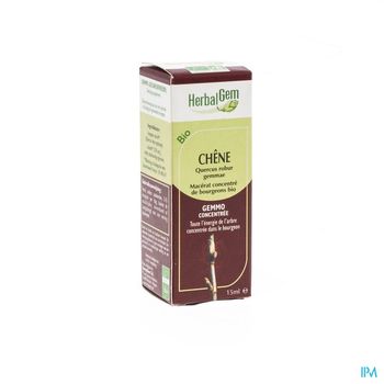 herbalgem-chene-macerat-concentre-de-bourgeons-bio-15-ml
