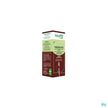 herbalgem-marronnier-macerat-concentre-de-bourgeons-bio-50-ml