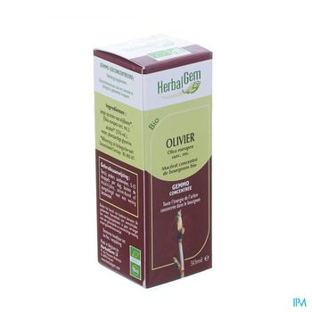 herbalgem-olivier-macerat-concentre-de-bourgeons-bio-50-ml