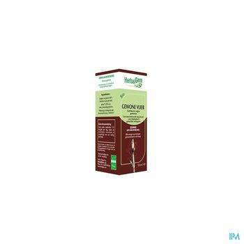 herbalgem-sureau-macerat-concentre-de-bourgeons-bio-50-ml