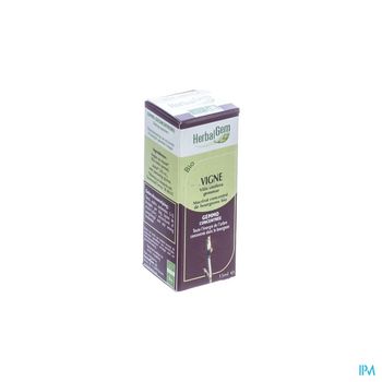 herbalgem-vigne-macerat-concentre-de-bourgeons-bio-15-ml