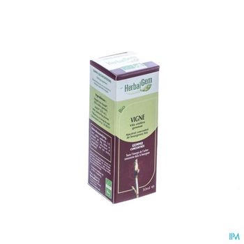 herbalgem-vigne-macerat-concentre-de-bourgeons-bio-50-ml