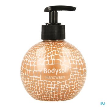 bodysol-handwash-crocodile-copper-300-ml