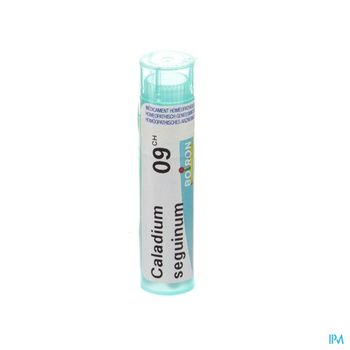 caladium-seguinum-9-ch-granules-4-g-boiron